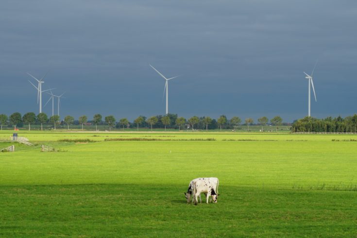 Een energieleverancier kan een certificaat voor groene stroom kopen in het buitenland